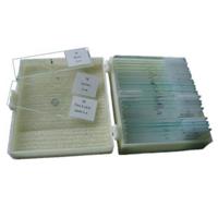 Byomic Opberg Doos voor 25 Preparaten - thumbnail