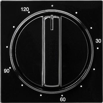 GIRA INZPL+KNOP TIM 120M ZW SC