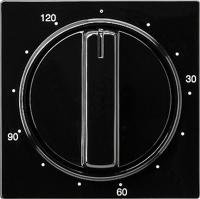 GIRA INZPL+KNOP TIM 120M ZW SC - thumbnail