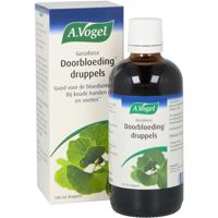 Geriaforce - thumbnail