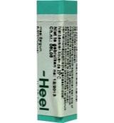 Homeoden Heel Gelsemium sempervirens MK 1 Gram Homeoden Heel Gelsemium sempervirens MK 1 Gram
