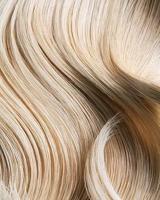 L'Alga SeaWet Shampoo - thumbnail