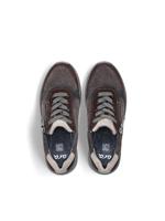 Ara 1257702 - alle - thumbnail