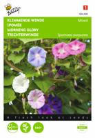 Ipomoea, Klimmende winde gemengd - thumbnail