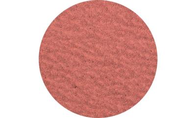 PFERD TOOLS CDR 50 A-COOL 60 42772506 Schuurblad Korrelgrootte (num) 60 (Ø) 50 mm 100 stuk(s)