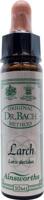 Ainsworths Larch Bach 10 Milliliter - thumbnail