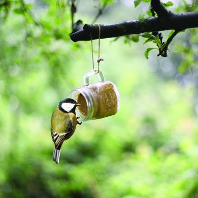 Vogelvoer pindakaas in mok Vogelvoer pindakaas in mok