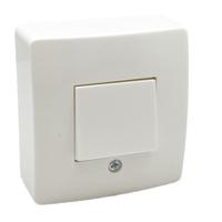 Peha opbouw schakelaar wissel lw - 4663045 - thumbnail