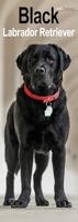 Black Labrador Retriever Slim Calendar 2026 Dog Breed Slimline Calendar - 12 Month - thumbnail
