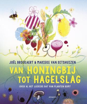 Van honingbij tot hagelslag - Joel Broekaert - ebook
