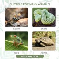 Nobleza Reptielbakje - Kunststof - Maat S - thumbnail