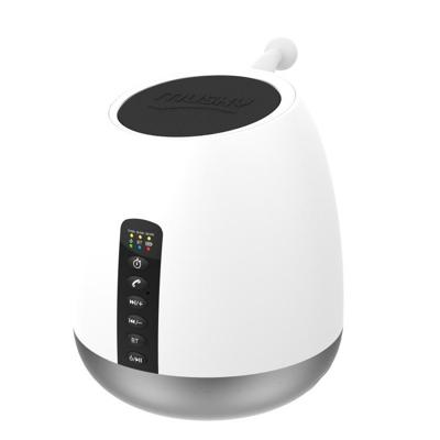 MUSKUS DY50 LED licht draagbare draadloze Bluetooth Subwoofer speaker