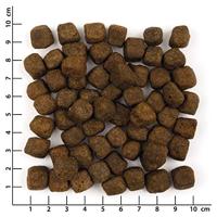 WOLFSBLUT Wild Duck Duck with potatoes - droog hondenvoer - 12,5kg - thumbnail