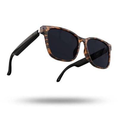 Hands-Free Bluetooth Zonnebril Energy Sistem Urban Music Tortoise Blauw Bruin Zwart