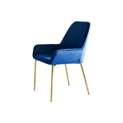 Eetkamerstoel Fiona Blauw - Set van 2