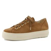 Paul Green 4790 - alle - thumbnail