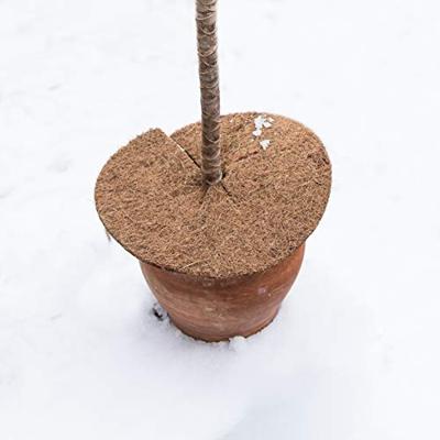 Connex Kokos-Schijf Isolerend D25Cm - FLOR80277 Connex Kokos-Schijf Isolerend D25Cm - FLOR80277