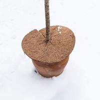 Connex Kokos-Schijf Isolerend D25Cm - FLOR80277 - thumbnail