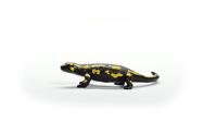 Schleich wild life vuursalamander 14870 - thumbnail