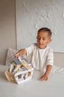 Tryco Houten Ark van Noach - thumbnail