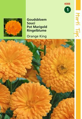 Calendula Off. Dubbel Oranjekoning - Hortitops