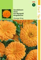 Calendula Off. Dubbel Oranjekoning - Hortitops - thumbnail