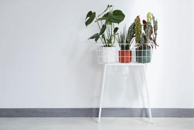 Bloempot B.for soft 16 cm wit elho - Elho - thumbnail