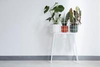 Bloempot B.for soft 16 cm wit elho - Elho - thumbnail