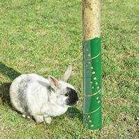 Meister Beschermingspiraal 60Cm Vr Boom 2St - WU9968750 - thumbnail