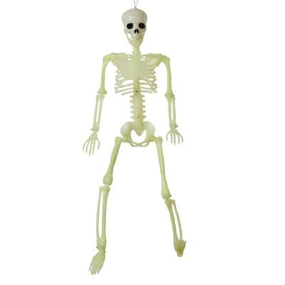 Halloween Decoraties Skelet 82 cm Wit