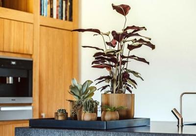 Capi Bloempot Pot Bol Groove Zwart Ø14cm