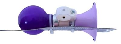 Wunsch Disney wish balhoorn