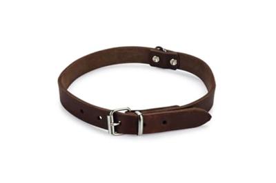 Lederen honden halsband bruin - 57 cm x 20 mm Lederen honden halsband bruin - 57 cm x 20 mm