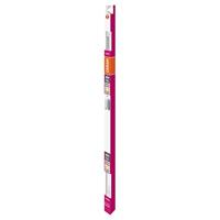 OSRAM HOMELIGHTING LED-buis-Buis Energielabel: F (A - G) G13 T8 6.6 W = 18 W Warmwit 1 stuk(s) (Ø x l) 27 mm x 603 mm Conventioneel voorschakelapparaat - thumbnail