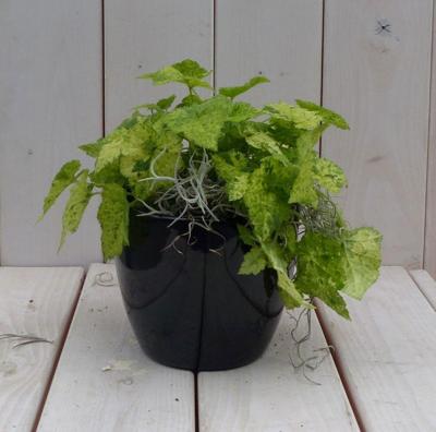 Kindje op moeders schoot in zwarte/antraciete pot 25 cm Warentuin Natuurlijk - Warentuin natuurlijk