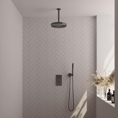 Brauer Stripe thermostatische inbouw regendouche 3-weg rechthoekig SET 15 met 25 cm douchekop en plafondarm en staaf handdouche en doucheslang en wandaansluitbocht gunmetal geborsteld PVD