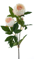 Paeony spray Chiba lt pink 65cm - thumbnail
