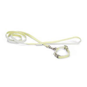 Beeztees Jicca - Puppy Set - Geel Beeztees Jicca - Puppy Set - Geel