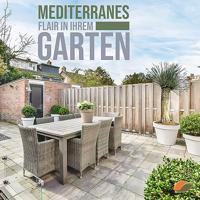 Palmboom - Yucca Rostrata - thumbnail