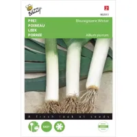 Zaden Prei Blauwgroene Winter Buzzy - Buzzy - thumbnail