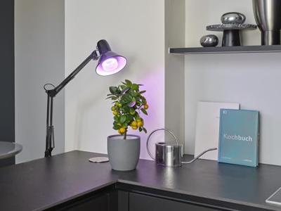OSRAM HOMELIGHTING 4058075845800 Plantenlamp-lamp E27 20 W 1 stuk(s) OSRAM HOMELIGHTING 4058075845800 Plantenlamp-lamp E27 20 W 1 stuk(s)