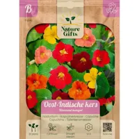 Oost-indische kers klimmende mengsl 20st - thumbnail