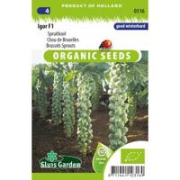 Biologische Spruitkool zaden Igor F1 - thumbnail