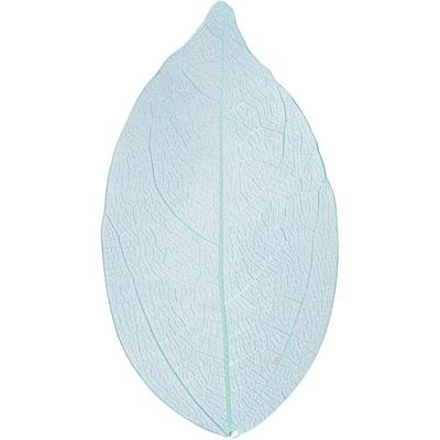 Creativ Company Skeleton leaves , l: 6-8 cm, lichtblauw, 20 stuk/ 1 doos Creativ Company Skeleton leaves , l: 6-8 cm, lichtblauw, 20 stuk/ 1 doos