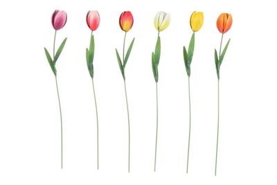 Countryfield Tuinsteker Tulipa H60cm
