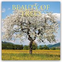 Bomen Kalender 2026 - thumbnail