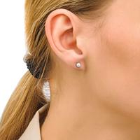 Oorbellen Dames Majorica 00320.01.2.000.701.1 - thumbnail