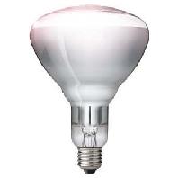 Hard Glas Lamp 250 W - Wit - thumbnail