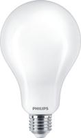 Philips LED 76463000 LED-lamp Energielabel D (A - G) E27 Peer 23 W = 200 W Warmwit (Ø x l) 9.5 cm x 16.5 cm 1 stuk(s) - thumbnail