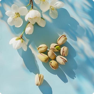 Elie Saab Girl Of Now Eau de parfum Spray 90 ml Dames